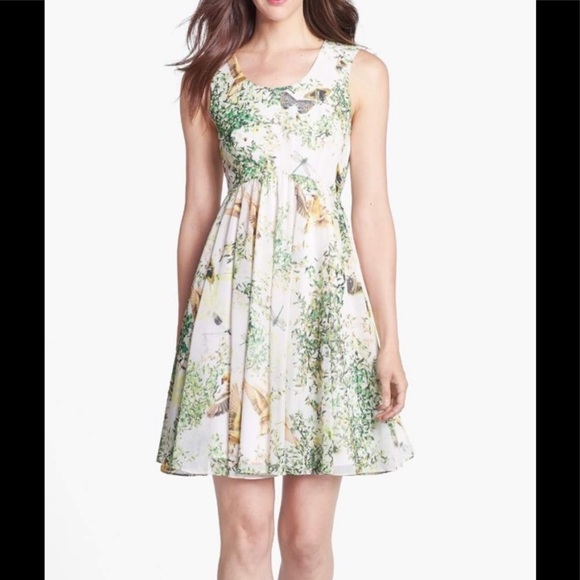 Ted Baker London Dresses & Skirts - Ted Baker London Liano Bird/Butterfly Print Dress